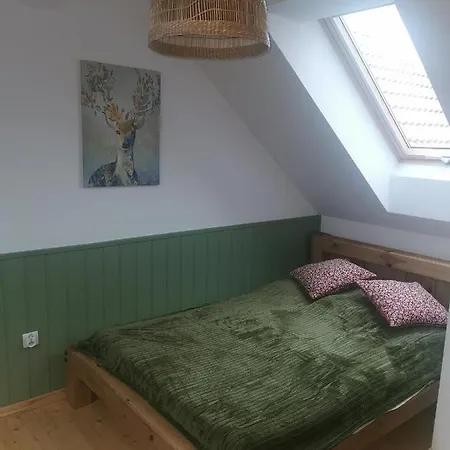 Kaszuby W Ostoja Bukowo - U Malgoski Domek 6 Z Widokiem Na Las I Internetem Tatil Evi *