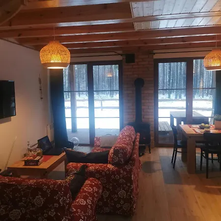 Holiday home Kaszuby W Ostoja Bukowo - U Malgoski Domek 6 Z Widokiem Na Las I Internetem