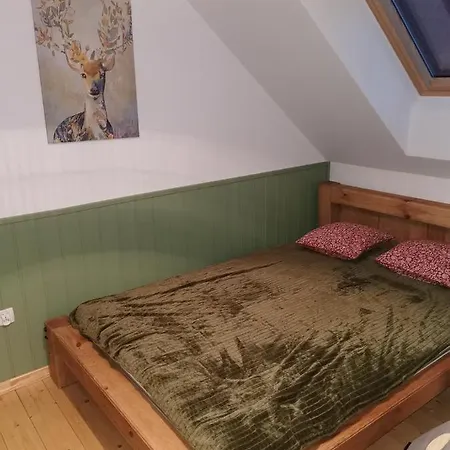 Tatil Evi Kaszuby W Ostoja Bukowo - U Malgoski Domek 6 Z Widokiem Na Las I Internetem *