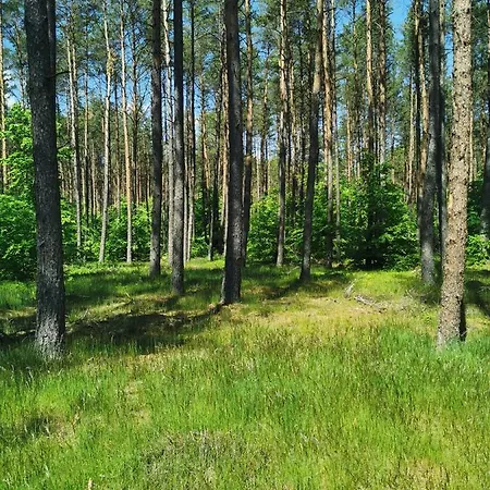 Tatil Evi Kaszuby W Ostoja Bukowo - U Malgoski Domek 6 Z Widokiem Na Las I Internetem *