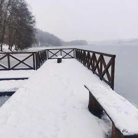 Kaszuby W Ostoja Bukowo - U Malgoski Domek 6 Z Widokiem Na Las I Internetem Tatil Evi