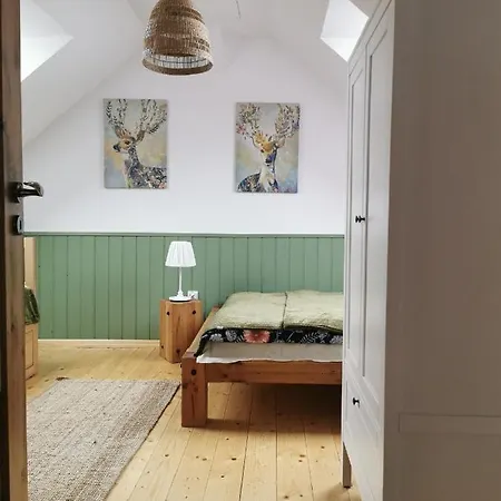 Kaszuby W Ostoja Bukowo - U Malgoski Domek 6 Z Widokiem Na Las I Internetem Tatil Evi Borowy Mlyn