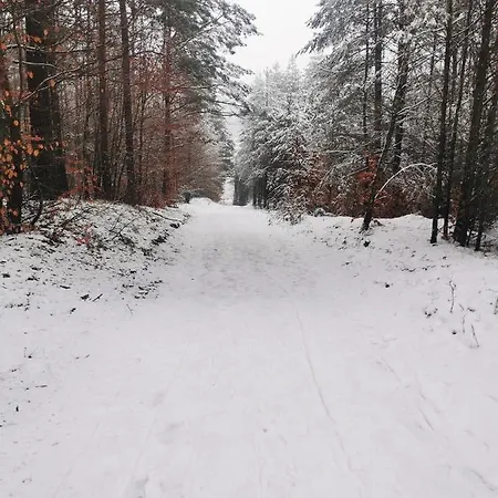 Kaszuby W Ostoja Bukowo - U Malgoski Domek 6 Z Widokiem Na Las I Internetem