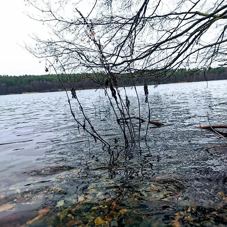 Kaszuby W Ostoja Bukowo - U Malgoski Domek 6 Z Widokiem Na Las I Internetem Tatil Evi