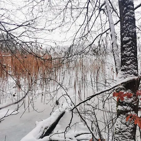 Kaszuby W Ostoja Bukowo - U Malgoski Domek 6 Z Widokiem Na Las I Internetem Tatil Evi