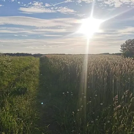 Kaszuby W Ostoja Bukowo - U Malgoski Domek 6 Z Widokiem Na Las I Internetem Tatil Evi *